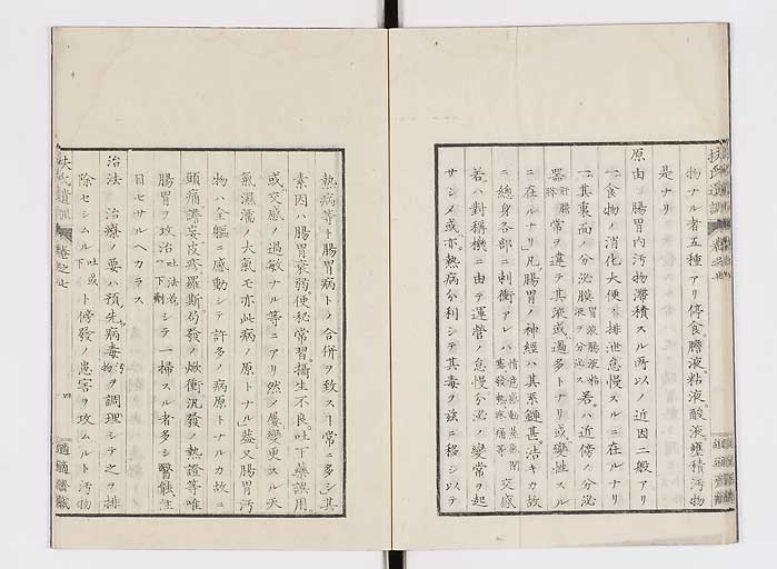 K0125s0190