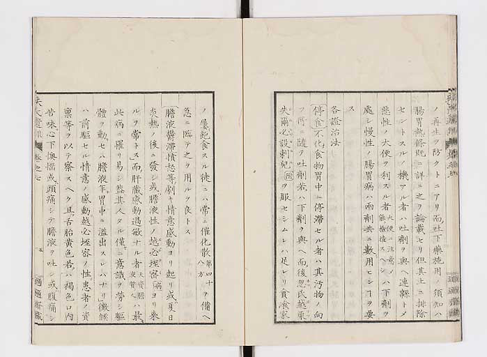 K0125s0191