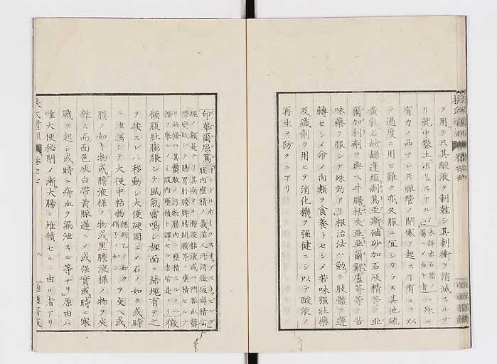 K0125s0194