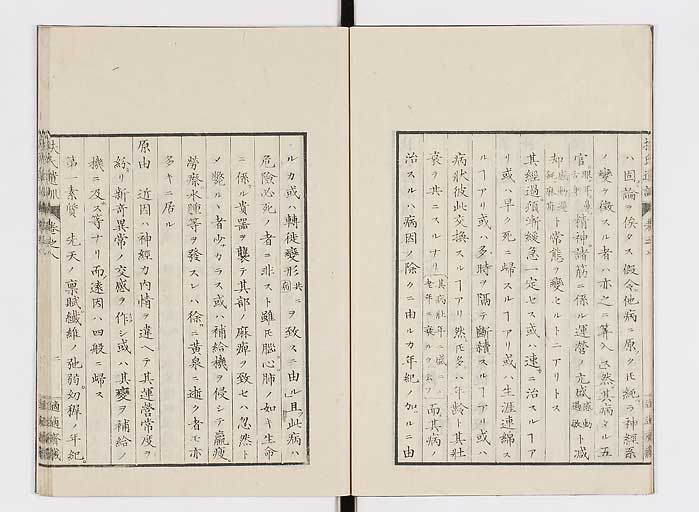 K0125s0205