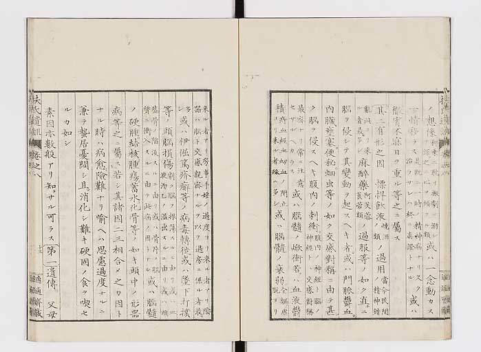 K0125s0216