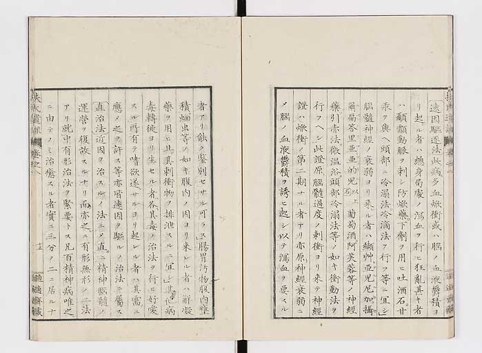 K0125s0218