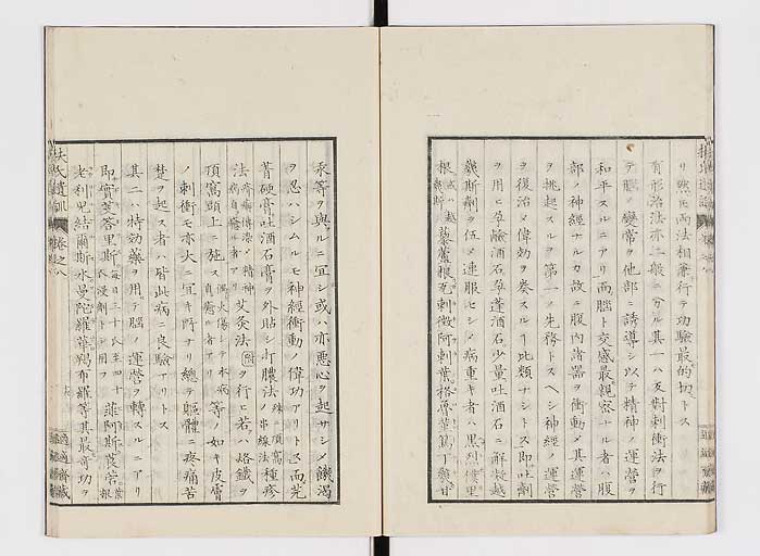 K0125s0219