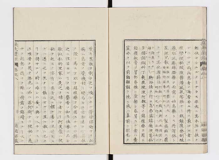 K0125s0233