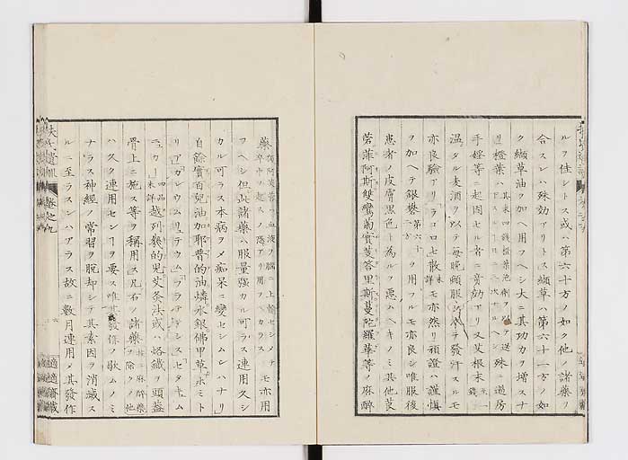 K0125s0243