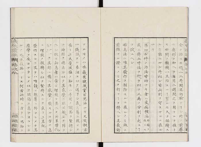 K0125s0244