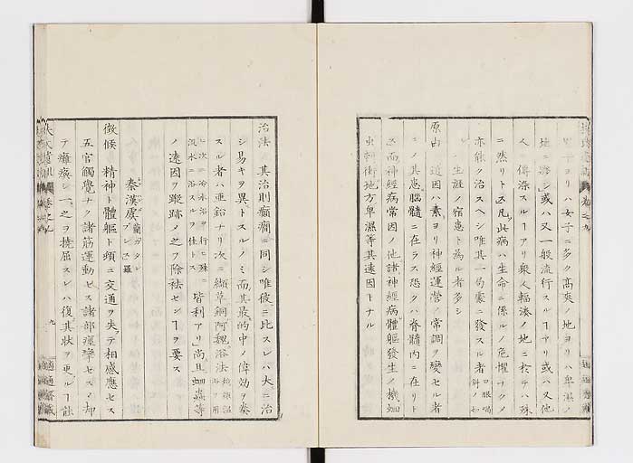 K0125s0246