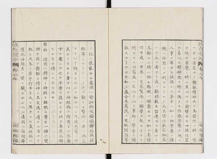 K0125s0247