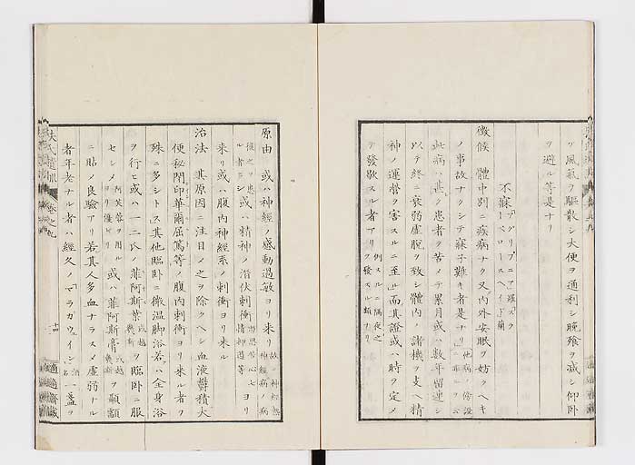 K0125s0251
