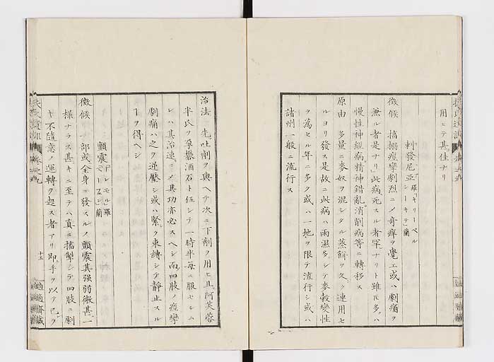 K0125s0252