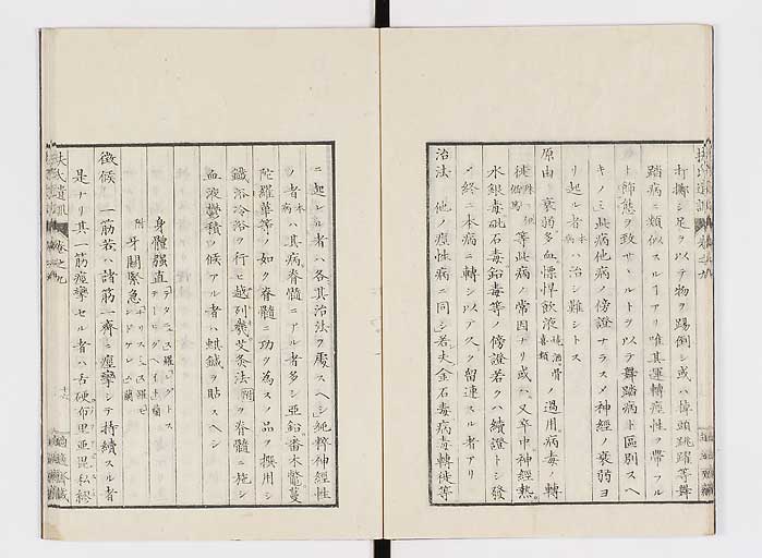 K0125s0253