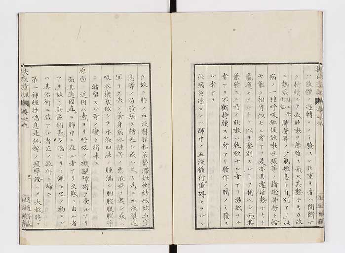 K0125s0258
