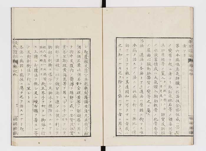 K0125s0260