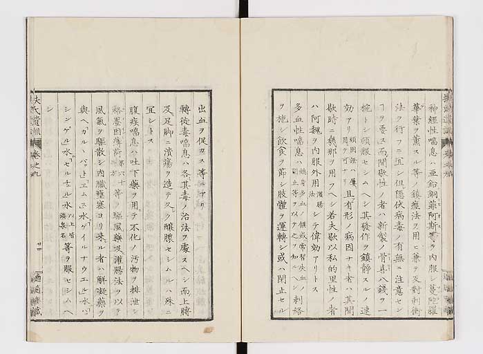 K0125s0261