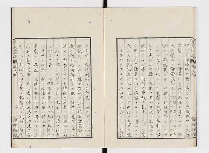 K0125s0263