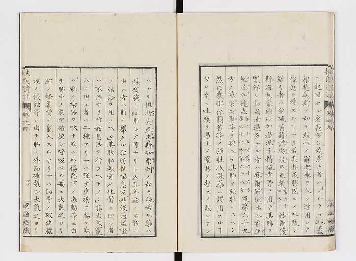 K0125s0264