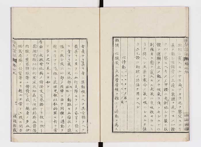 K0125s0265