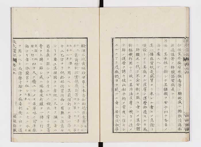 K0125s0268