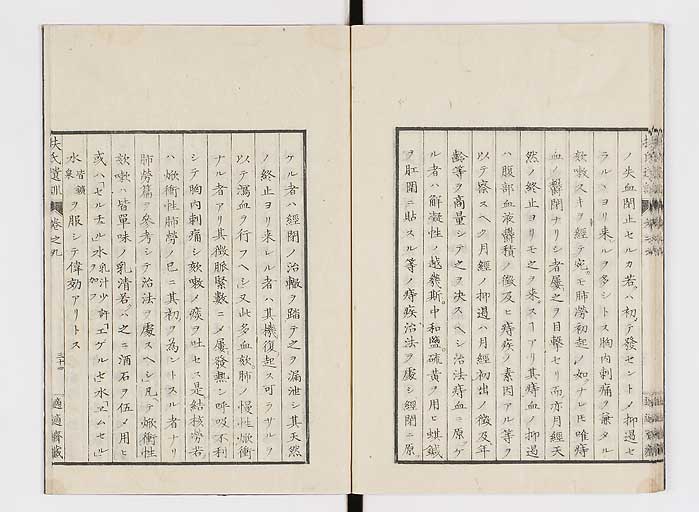 K0125s0271