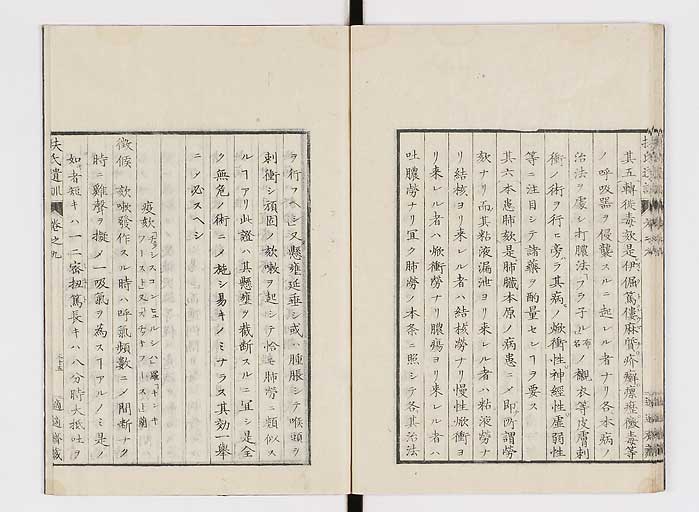 K0125s0272