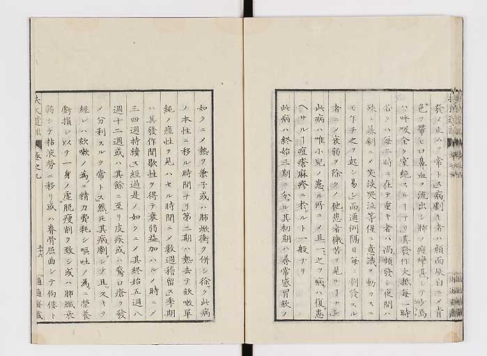 K0125s0273