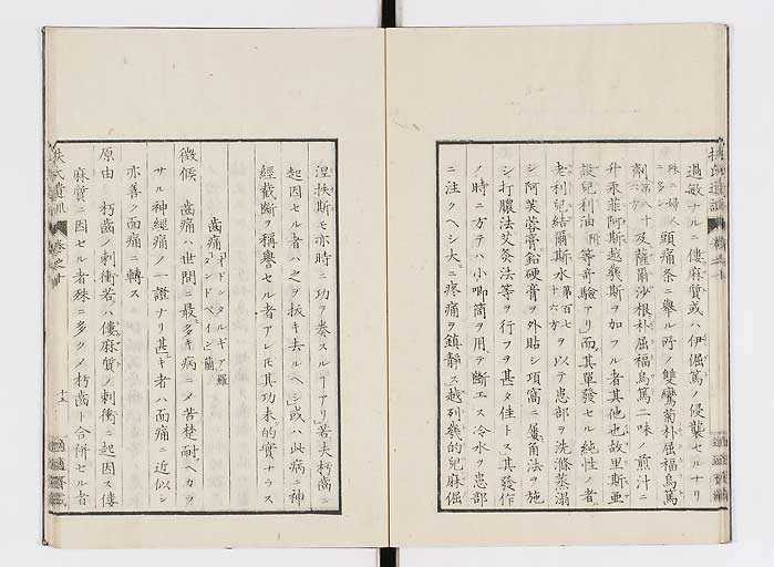 K0125s0293