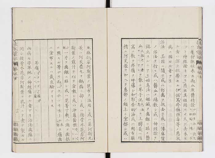 K0125s0294