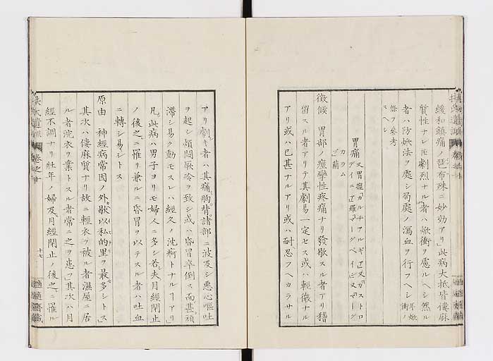 K0125s0295