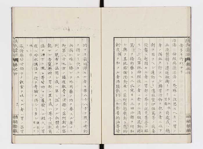 K0125s0296