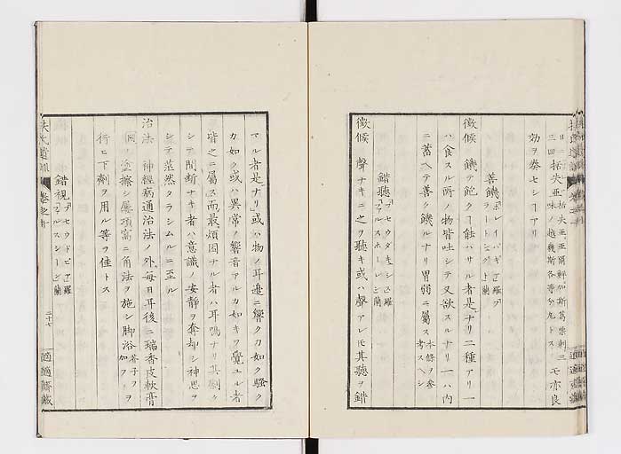 K0125s0305