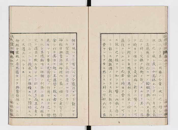 K0125s0339