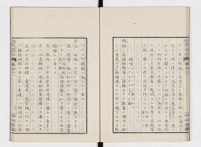K0125s0344