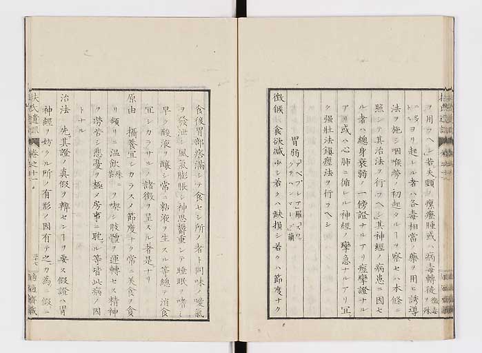 K0125s0349