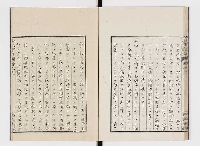 K0125s0353