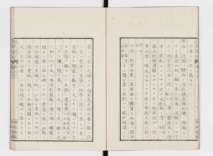 K0125s0371