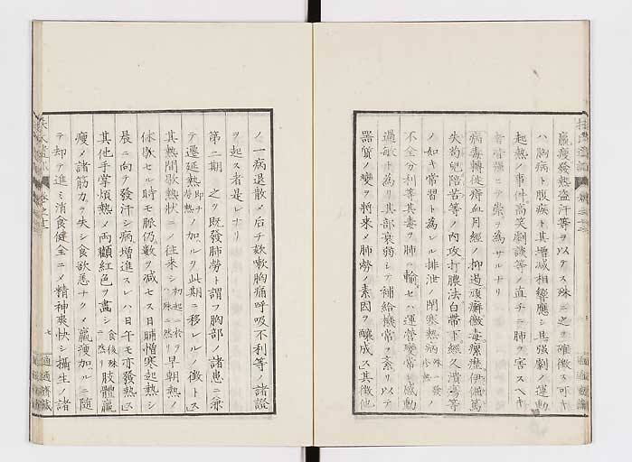 K0125s0376