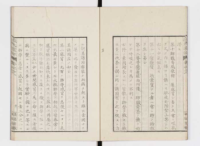 K0125s0381