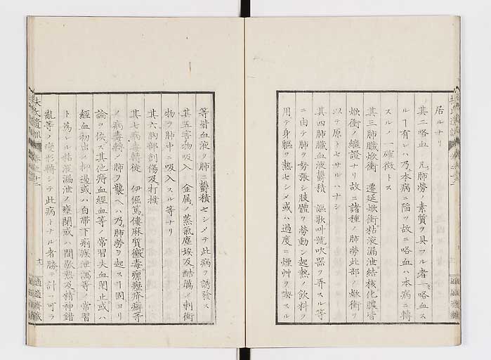K0125s0382