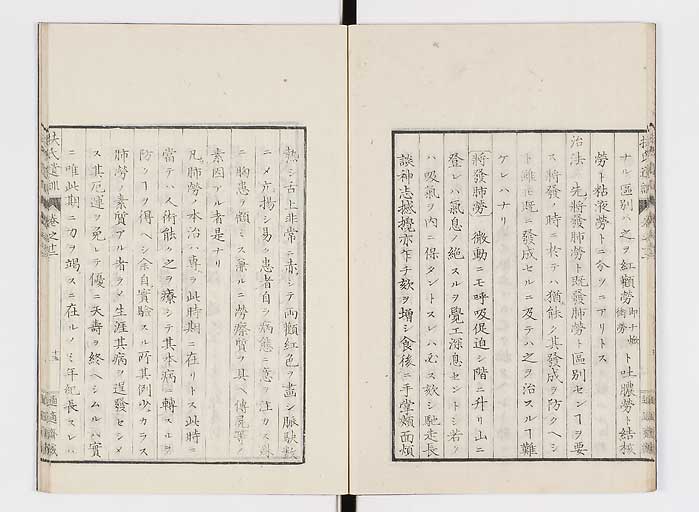 K0125s0384