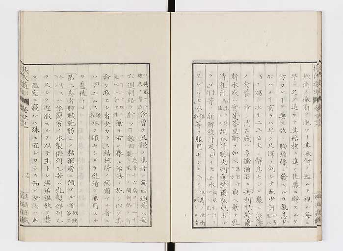 K0125s0386