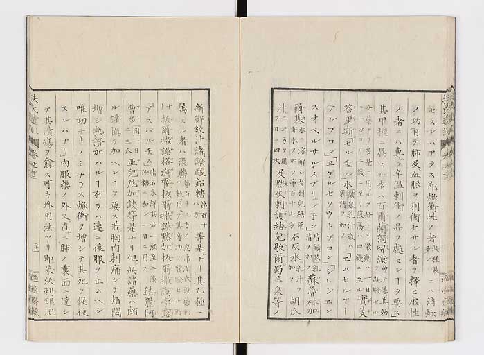 K0125s0391