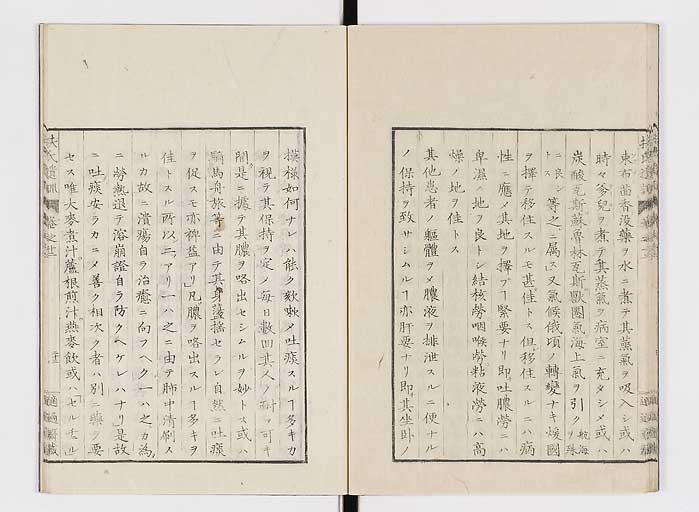 K0125s0392