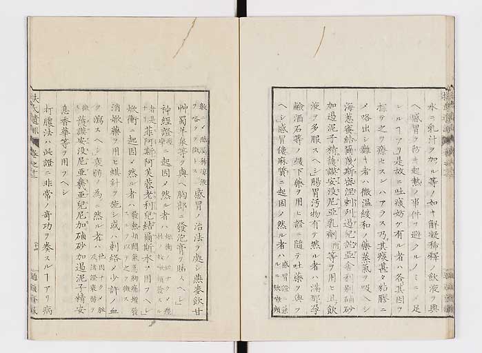 K0125s0393