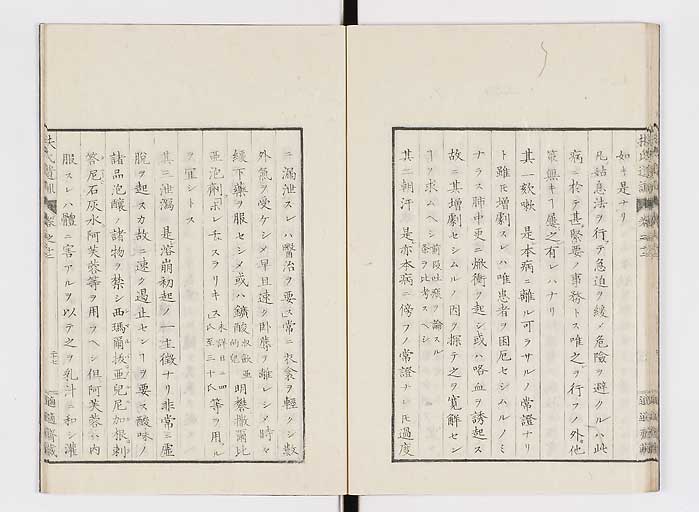 K0125s0396