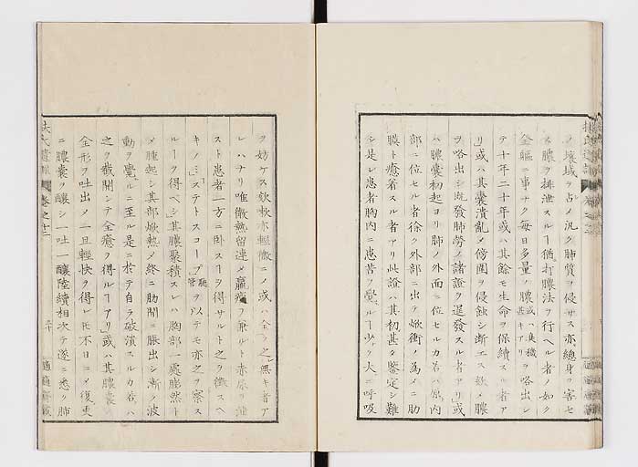 K0125s0399