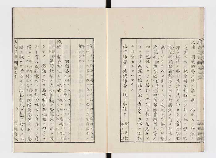 K0125s0401