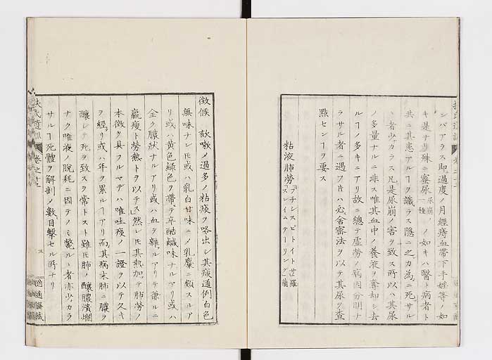 K0125s0410