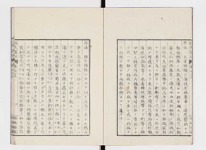 K0125s0411
