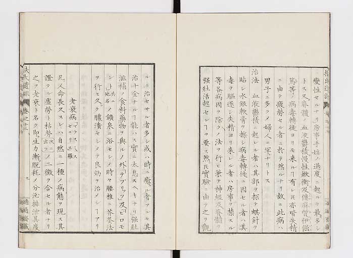 K0125s0416