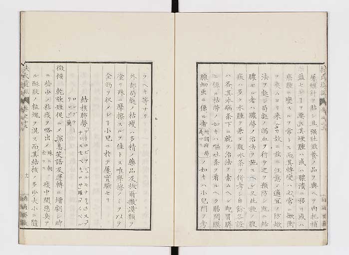 K0125s0419